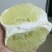 湖南芷江麻麻柚冰糖柚50斤装