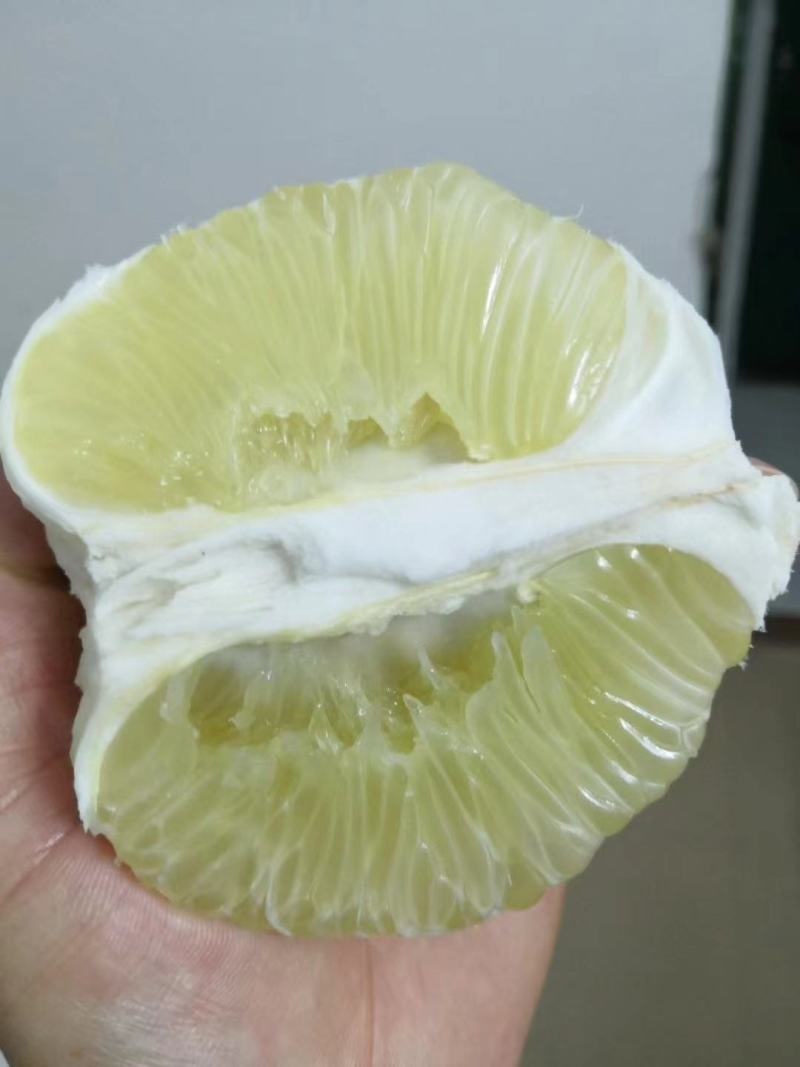 湖南芷江麻麻柚冰糖柚50斤装