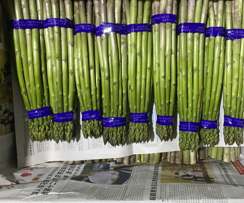 芦笋基地直供