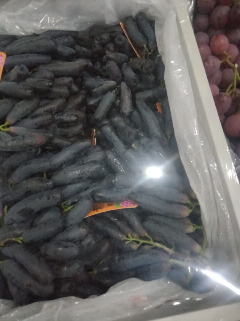 【甜蜜蓝宝石葡萄】种植大户量大从优产地直供