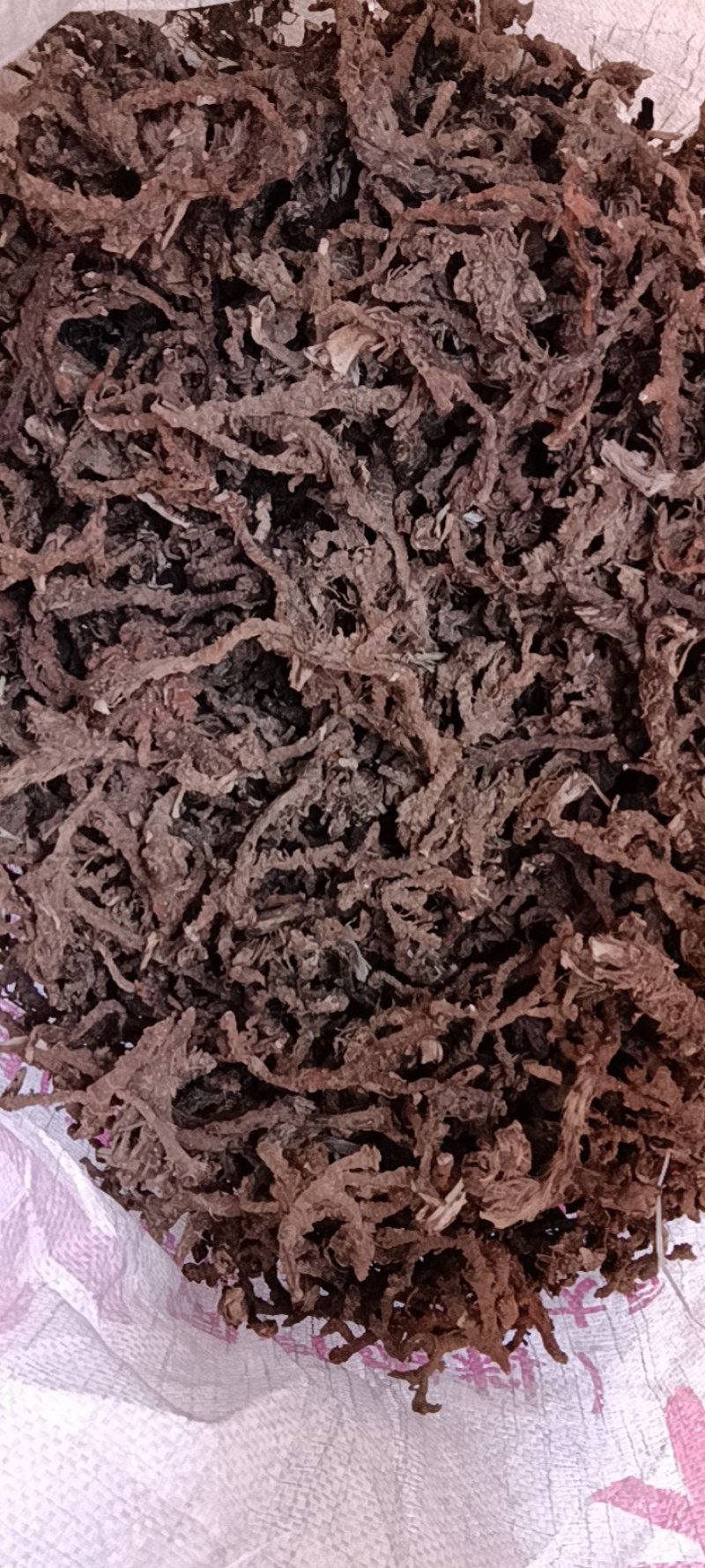石菖蒲干货野生货一手货源现货今年新货产新