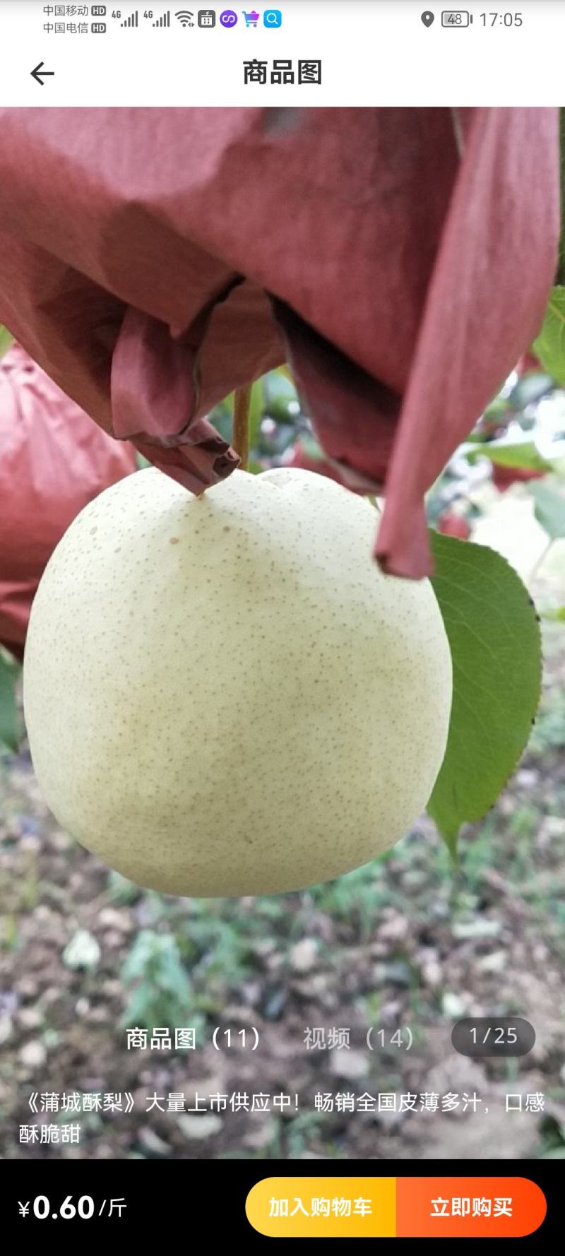 新鲜水果蔬菜供应