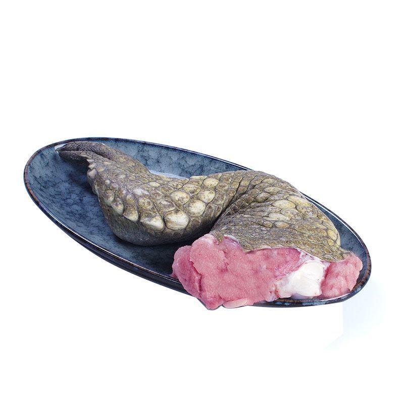 新鲜鳄鱼腿带皮肉现杀鳄鱼人工养殖鳄鱼新鲜肉类食