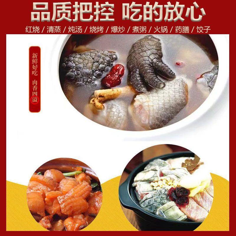 新鲜鳄鱼腿带皮肉现杀鳄鱼人工养殖鳄鱼新鲜肉类食