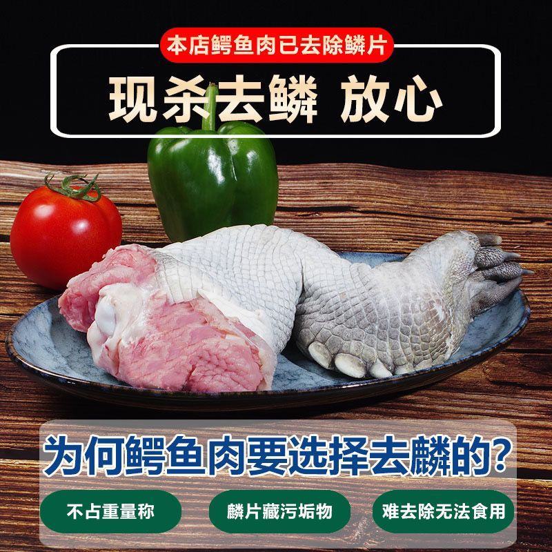 新鲜鳄鱼腿带皮肉现杀鳄鱼人工养殖鳄鱼新鲜肉类食