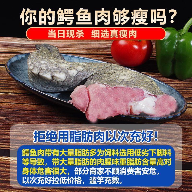 新鲜鳄鱼腿带皮肉现杀鳄鱼人工养殖鳄鱼新鲜肉类食