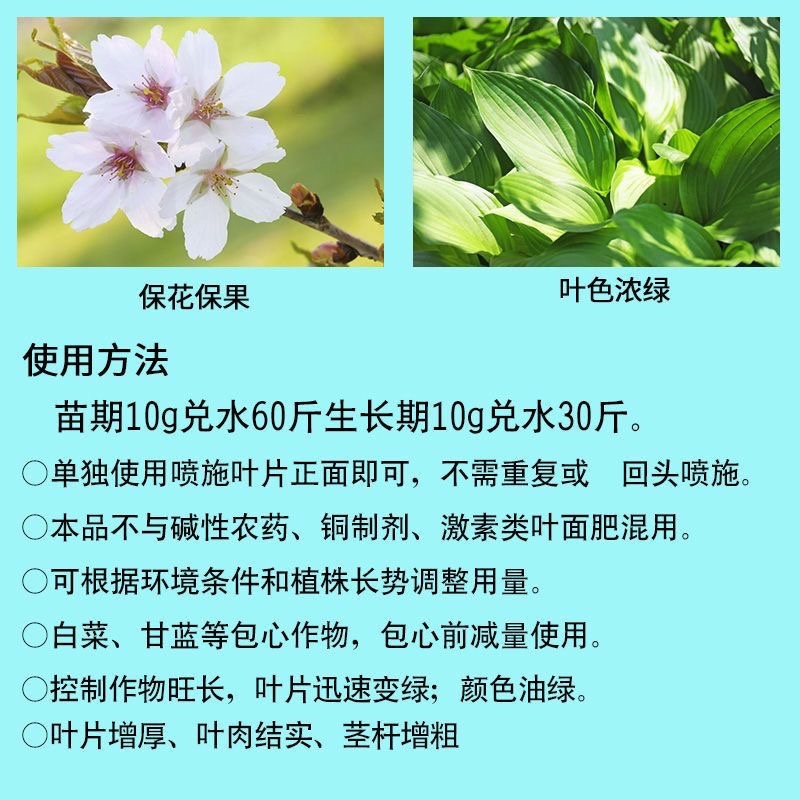 乐陵农博士叶绿素控旺防徒长叶片厚绿控旺叶面肥