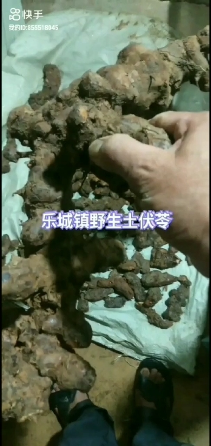 农家野生土伏苓干品，水洗生晒无添加。