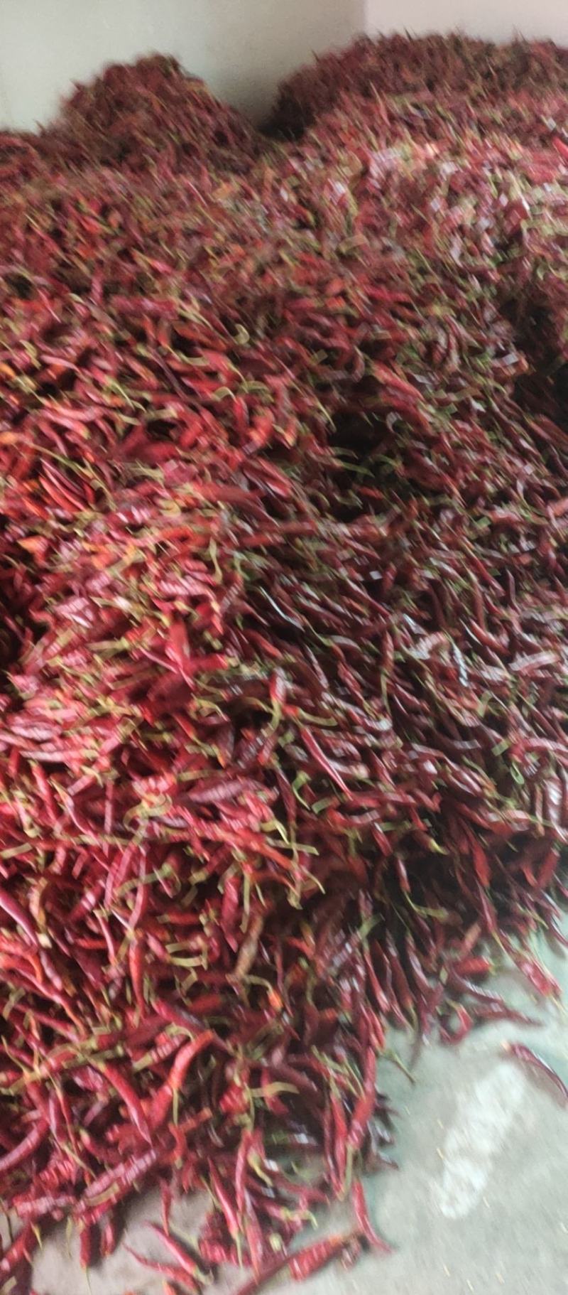 云南特产辣子无辣不欢