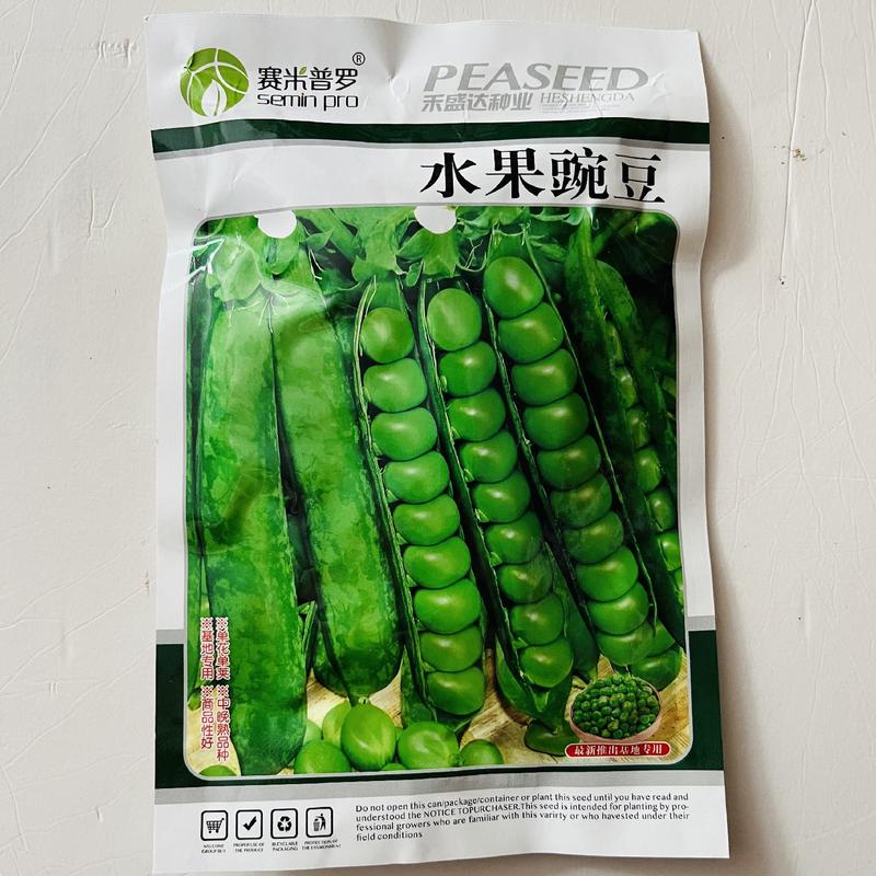 台湾长寿仁豌豆种子大粒多糖抗白粉病优质品种菜用豌豆种子