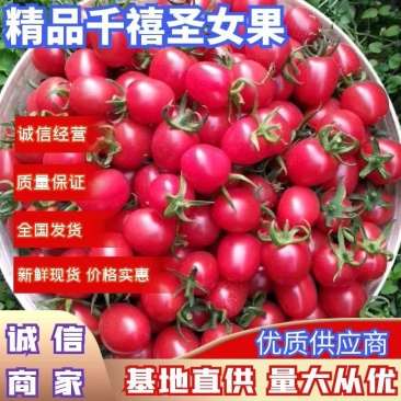 广西田阳我村千禧圣女果大量上市产地直供量大从优
