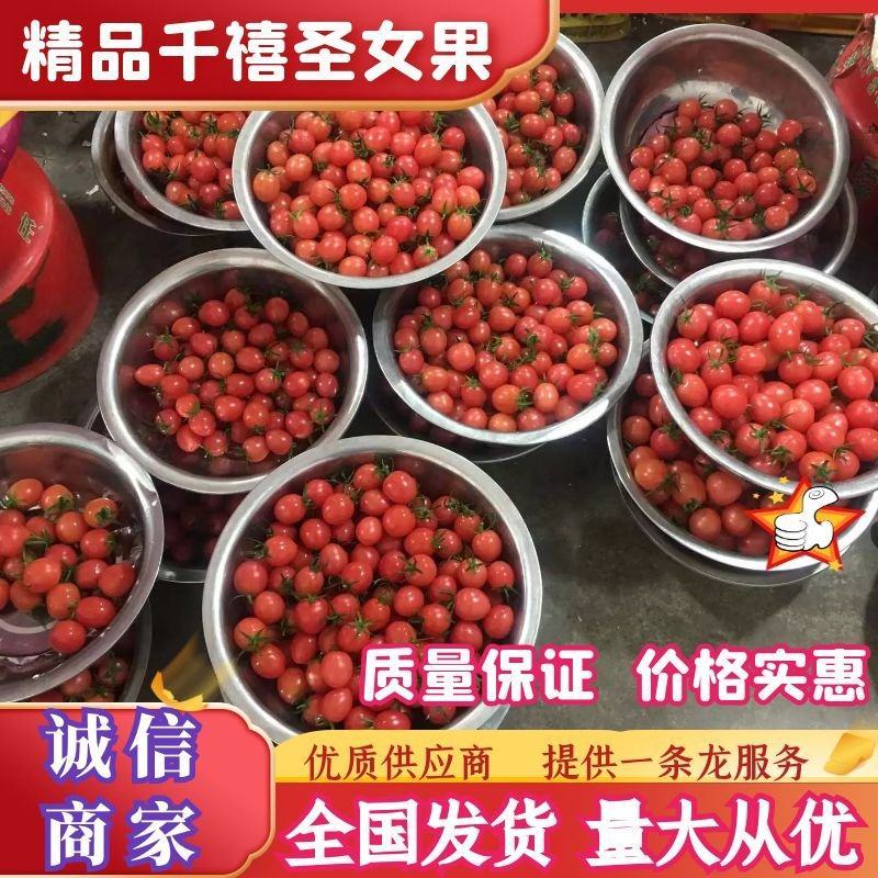 广西田阳千禧圣女果大量上市货源足有需要的朋友可以联系我