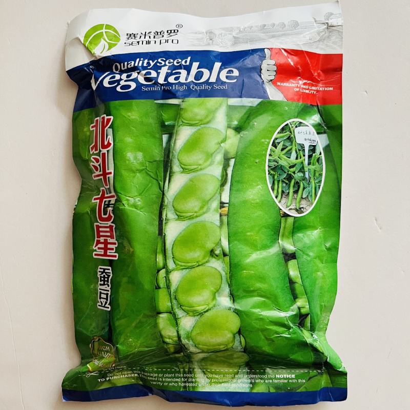 七粒香大蚕豆种子荚长大粒型胡豆种籽抗病高产口感好蚕豆种子