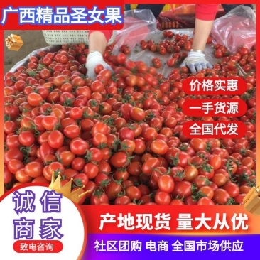 广西田阳圣女果千禧大量上市，价格实惠欢迎各位老板前来咨询