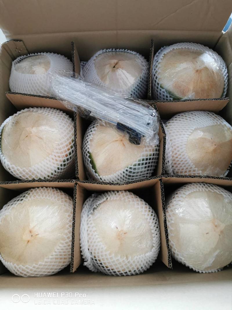 海南椰子椰青新鲜椰子削皮椰青9个装包邮一件代发（厂家发货