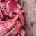 特价特价烟熏猪眼圈肉腊货年货猪眼圈腊货