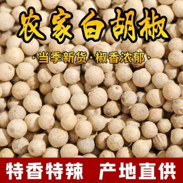 白胡椒跑江湖地摊货源农家白胡椒新货批发2022年