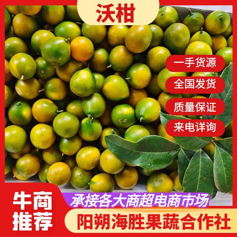广西沃柑，一手货源，货源充足，规格齐全，可代发全国，来电