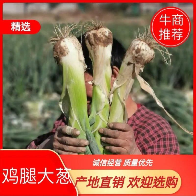 河北大葱鸡腿大葱大头葱万亩产地货源欢迎致电咨询！