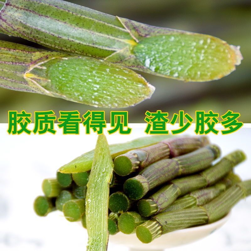 正宗云南铁皮石斛3年新鲜仿野生种植天然石斛一斤也包邮