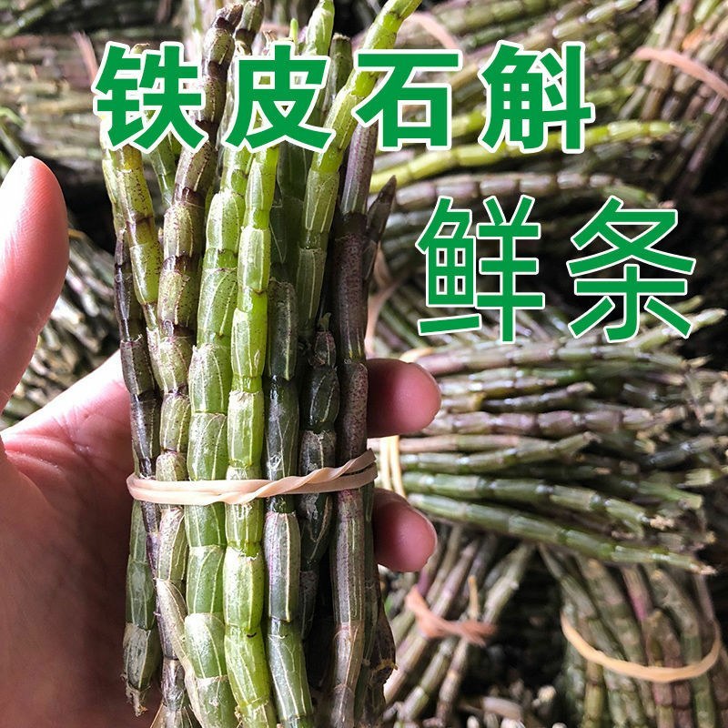 正宗云南铁皮石斛3年新鲜仿野生种植天然石斛一斤也包邮