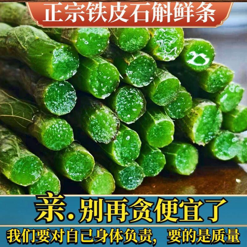 正宗云南铁皮石斛3年新鲜仿野生种植天然石斛一斤也包邮