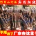 筷子阿里山印花竹筷子酒店筷子江湖地摊年货赶集展会热销货源
