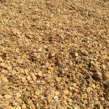罗汉果果籽果渣渣干粉