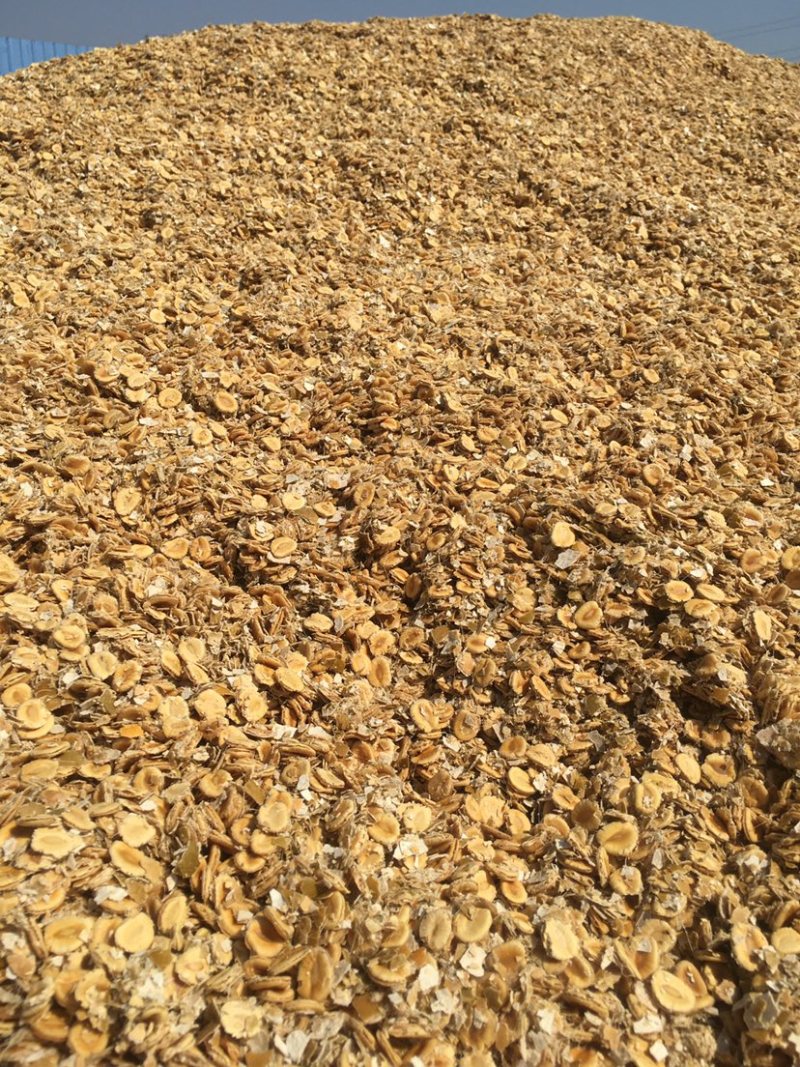 罗汉果果籽果渣渣干粉