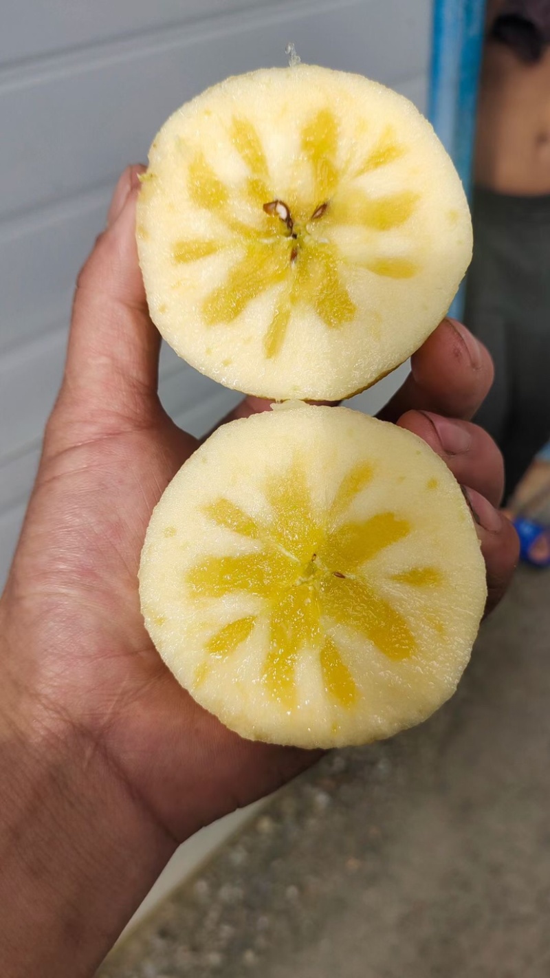 阿坝州茂县糖心苹果