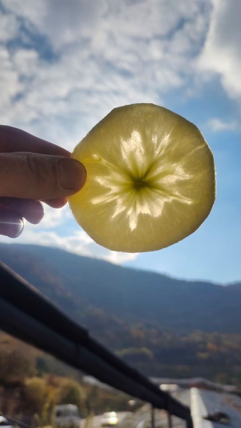 阿坝州茂县糖心苹果