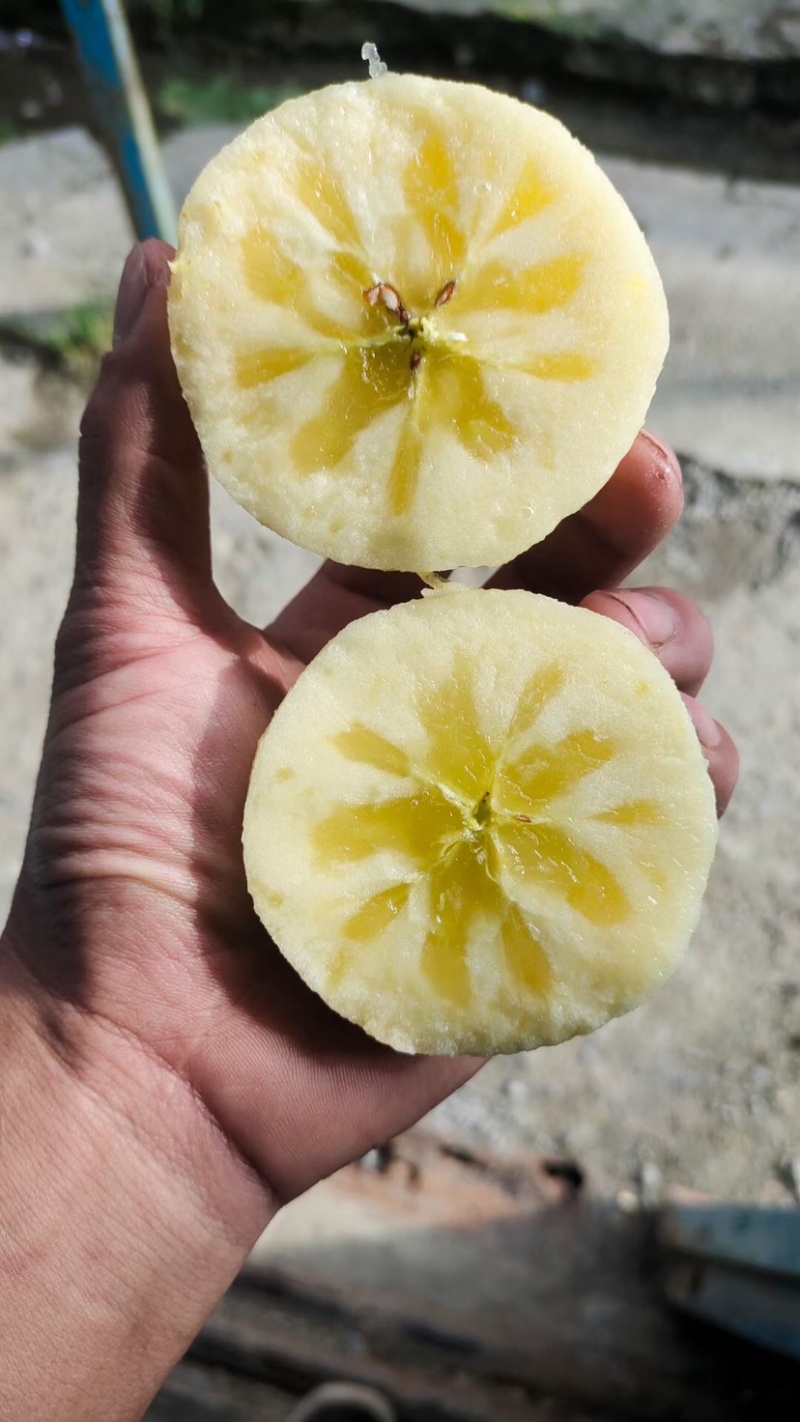 阿坝州茂县糖心苹果