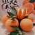 奉节脐橙