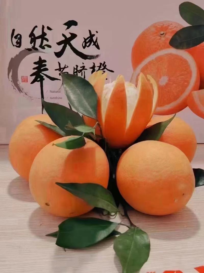奉节脐橙