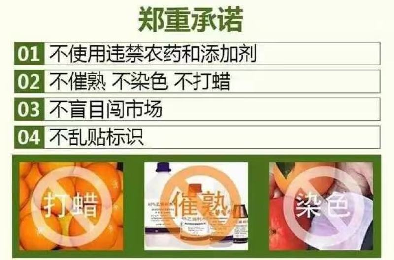 奉节脐橙