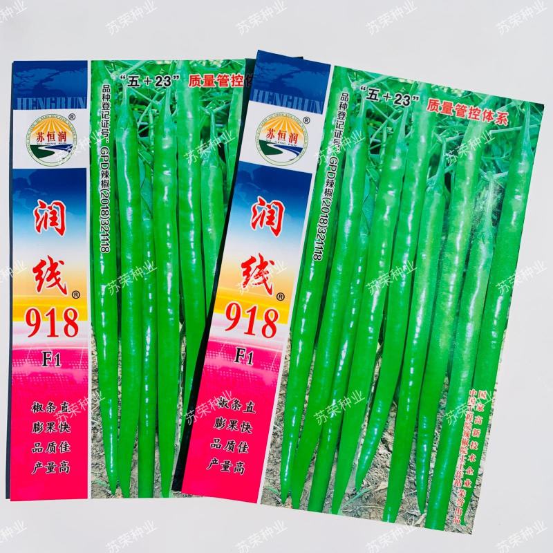 润线918线椒种子椒条顺直早熟高产辣椒种籽农家春秋季蔬菜