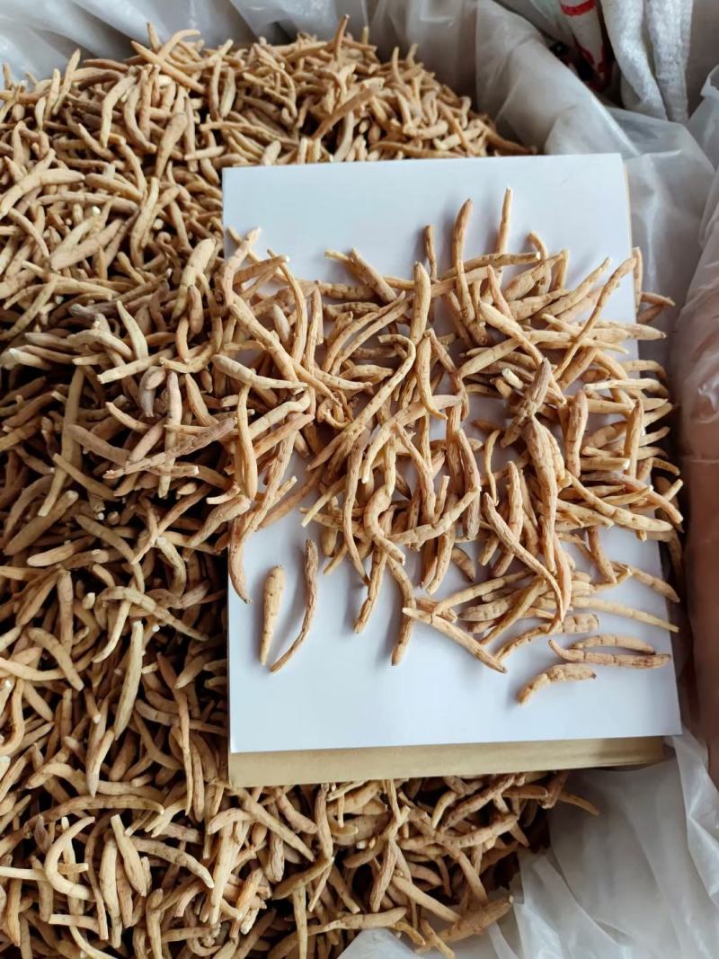 太子参新货全规格零差评百万销量广州店