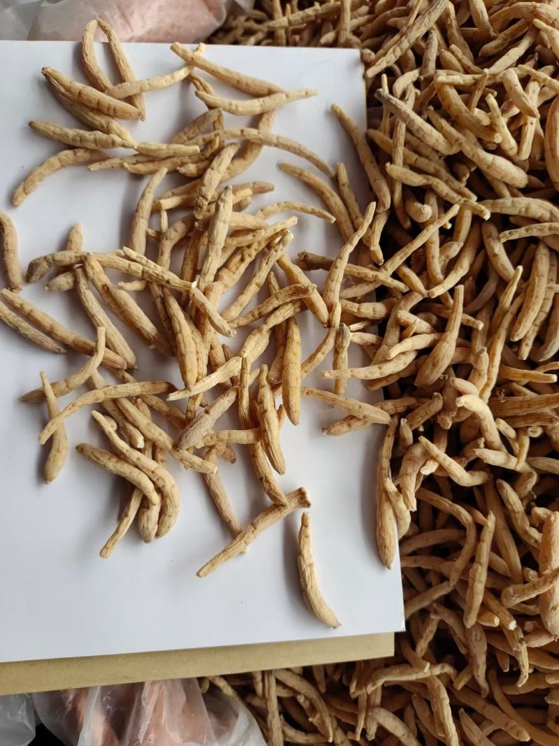 太子参新货全规格零差评百万销量广州店