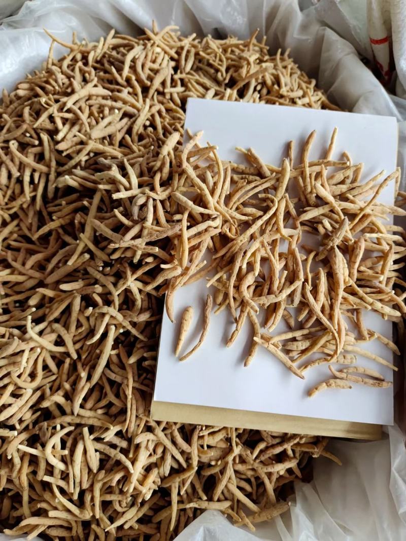 太子参新货全规格零差评百万销量广州店