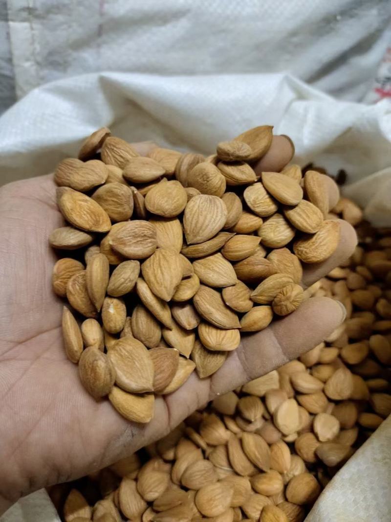 苦杏仁实体百万销量大颗粒新货颜色饱满
