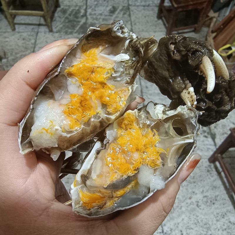 洪湖清水大闸蟹产地直发规格齐全可混批（下单请咨询）
