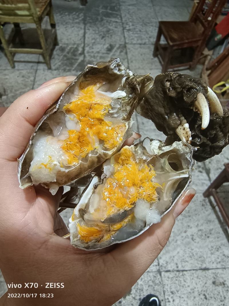洪湖清水大闸蟹产地直发规格齐全可混批（下单请咨询）
