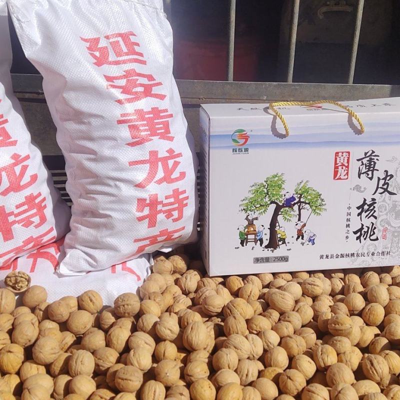 黄龙精品薄皮香玲核桃