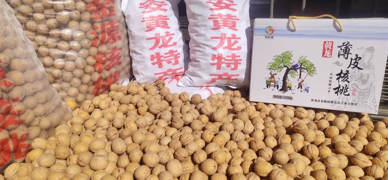 黄龙精品薄皮香玲核桃