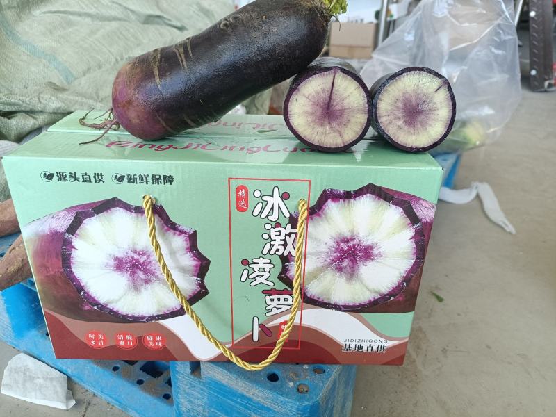 冰激凌萝卜穿心红冰淇淋萝卜紫皮水果萝卜承接落地配市场礼盒