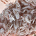 渤海湾咸虾皮，大板虾皮颜色漂亮，货量冲足