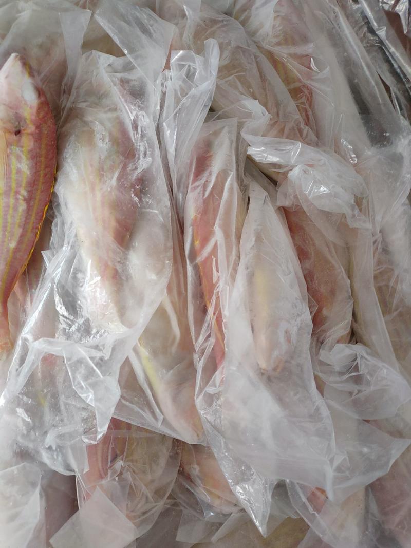 单冻金线鱼红三鱼3至4条/斤大众消费红杉鱼