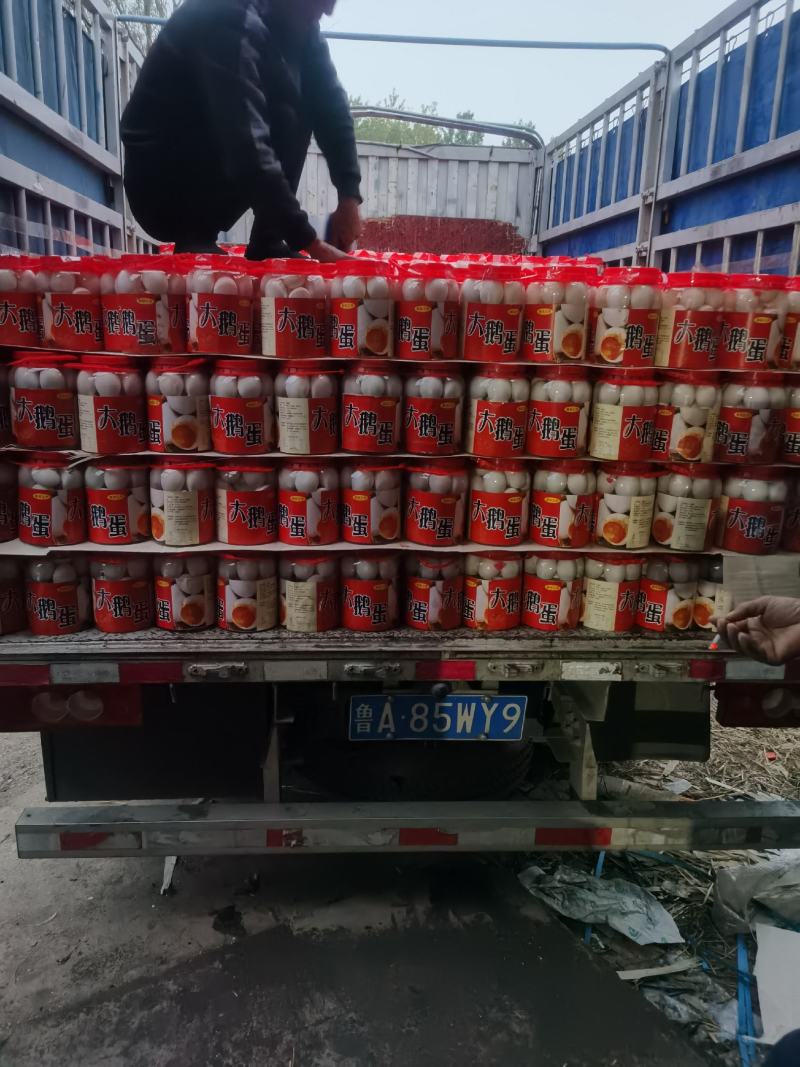 销售赶大集雁鹅蛋大鸭蛋桶装鹅蛋，网红大鹅蛋欢迎进店联系