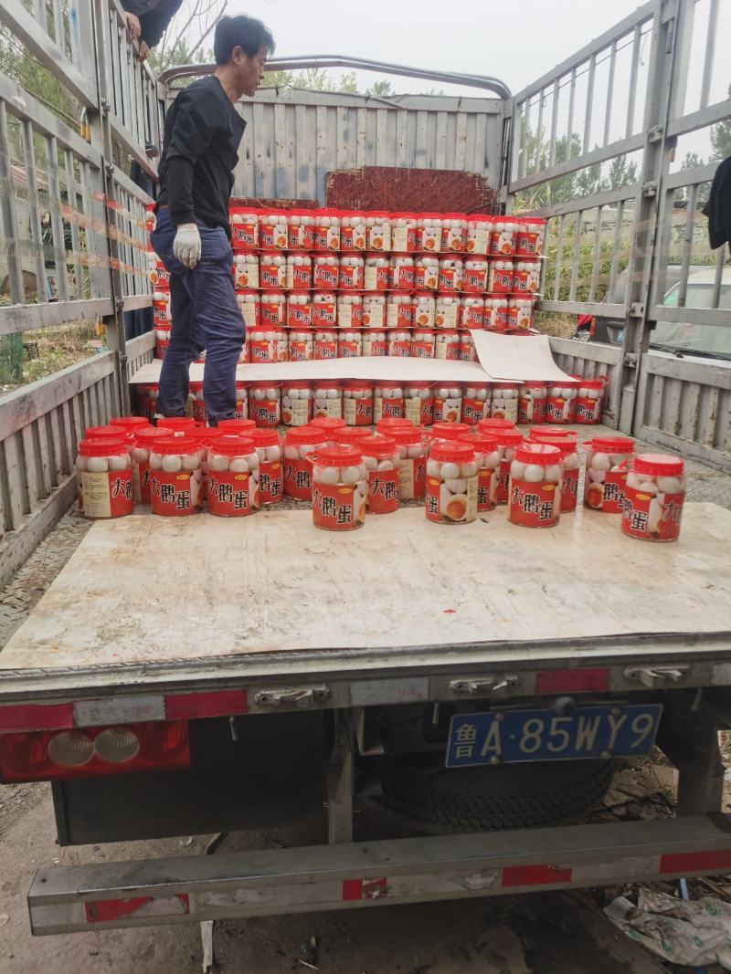 销售赶大集雁鹅蛋大鸭蛋桶装鹅蛋，网红大鹅蛋欢迎进店联系