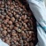 广西高山老茶籽小茶山茶籽油现摘新鲜山茶果